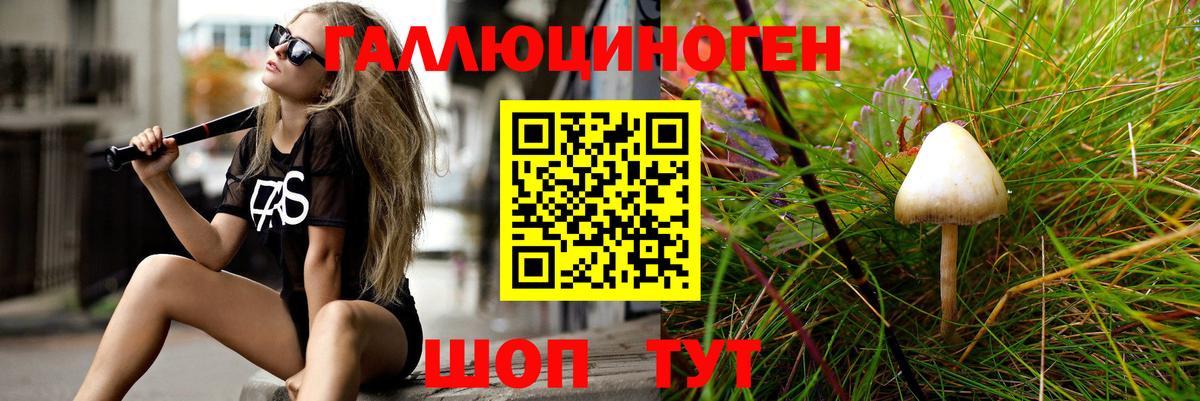 Горно-Алтайск  Псилоцибиновые грибы прущие грибы  Вход с VPN 