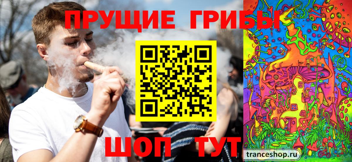 Псилоцибиновые грибы мухоморы Горно-Алтайск